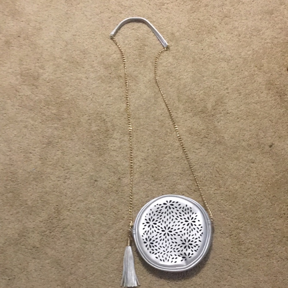 Silver crossbody purse with gold chain. Brand New